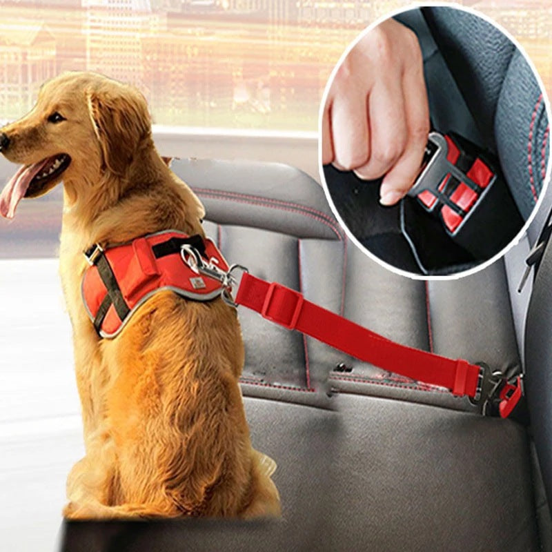 657520e09dd8cc910b623896a8244ebf